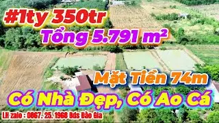 (34) #1ty350tr | Tổng 5.791m² Có Nhà, Có Ao cá, có 74m mặt tiền LH 0867251968 #bdsbinhphuoc 