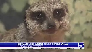 Photographer's Perspective: Special stories around the RGV