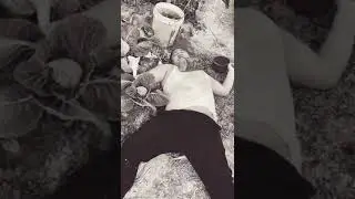 Mr king shu is no more😵|*002#Funny#comdey|