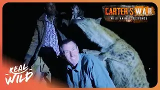 Why Do These Men Feed Wild Hyenas by Hand? | Carter's WAR