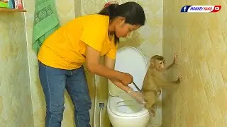 Adorable Monkey Kako Change Diaper And Taking Bath