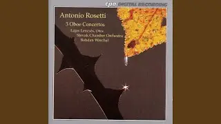 Oboe Concerto in C Major (cadenza by Lajos Lencses) : I. Allegro moderato