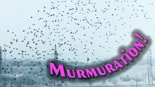 Murmuration of waxwings,  a flock of waxwings