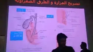 باطنة هضمية | أمراض المرارة والطرق الصفراوية د.أيمن علي
