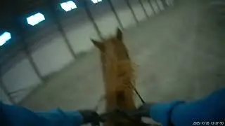 Jumping lesson
