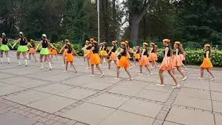 Orkiestra Konopiska przemarsz DOŻYNKI CZĘSTOCHOWA 2018 cz.1/4