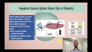 Processes that Result in Diabetes: Impaired Glucose Uptake, High Glucose Consumption