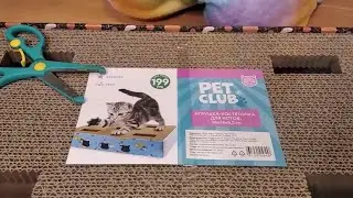 Картонная когтеточка для кошек Pet Club из Fix Price