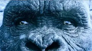 Godzilla vs Kong 2021 Kong awakens after being airlifted to an Antarctic base