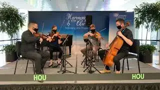 AMPD Quartet Live 8/26/2020