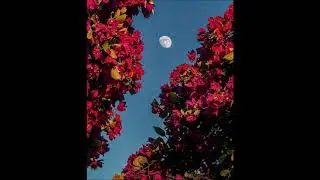 ESTU BEATS -#3 (FREE USE) PIANO MELODY HIP HOP INSTRUMENTAL 