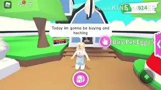 buying and hatching a pet egg - adopt me