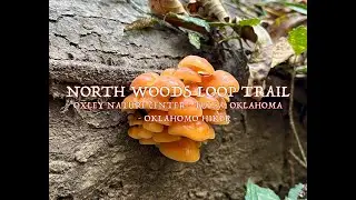 North Woods Loop Trail - Oxley Nature Center, Tulsa, Oklahoma
