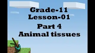 Grade 11|Lesson 1|Part 4|Animal tissues|English medium|Science|(Clear explanations)