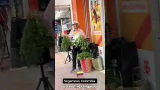 Colombia Town Walk In 4K #shorts #walktour #boyacacolombia #sogamoso #walktours #colombianculture