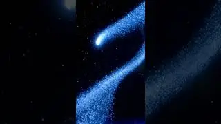 How it is like witnessing space and light bending in vortex of black hole