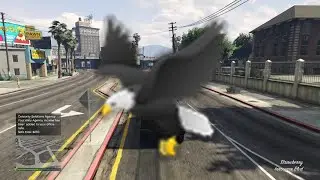 How to join border patrol |tutorial🦅🦅🦅