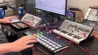 JellyAcid TB-03 + SH-01a + Polyend Play