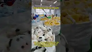 I am a doll toy supplier!Welcome to consult#toys#toysupplier#toystory #toyfactory #doll#toywholesale
