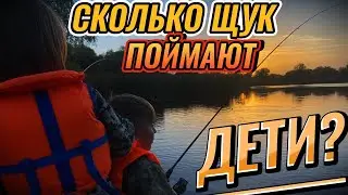 Рыбалка НА ЩУКУ! Первая РЫБАЛКА СЫНА на СПИННИНГ ОСЕНЬЮ и ЧТО ВЫШЛО? Красивая ПРИРОДА! Закат, ЩУКИ..