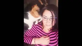 Trying to take photos with my cat Tonka Bean.#cats #selfies #petowners #catsoftiktok