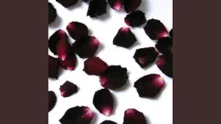 Counting Petals