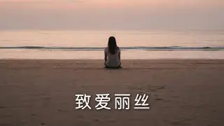 Für Elise – Beethoven | Piano by Huijin Zhang (张徽瑾)