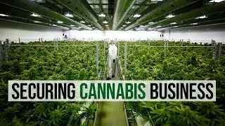 Reviewing the Security Systems in a Cannabis Warehouse and Laboratory