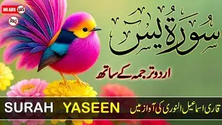 Surah Yasin (Yaseen) with Urdu & Hindi Tarjuma | Ismail Annouri | Heart Touching Tilawat | Epi 103