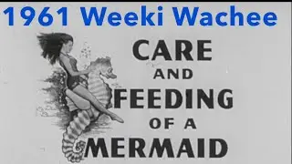 1961 Weeki Wachee