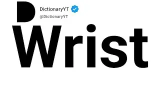 Wrist Synonyms | Thesaurus | Similar Words 