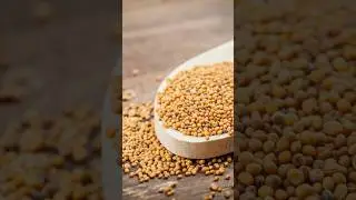 Secret Power of Mustard Seeds Explained #shorts #mustardseeds #seeds @Plants-World
