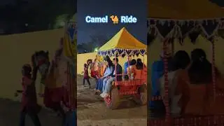 Camel  ride in jaipur || #rajasthani #camel #folkmusic #trendingshorts #ytshorts #culture  #ride