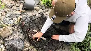 蟹籠漁　後編（リベンジ）
