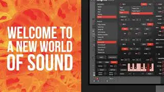 Introducing SOLO by TAQSIM World Lead Virtual Instrument VST AU Synthesizer