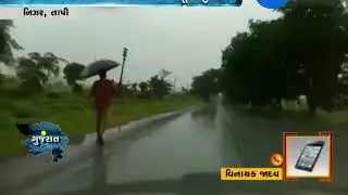 Tapi: Rain in Nizar Taluka, farmers happy - Zee 24 Kalak