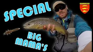 TRUITE au LEURRE : DU GROS FISH DANS MA RIVIERE ....