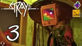 Oltreggiosi | STRAY [Gameplay ITA HD - Parte 3]