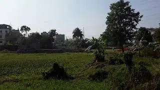 প্রকৃতি 