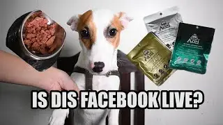 Dog Taste Test Review (AOZI WET FOOD)
