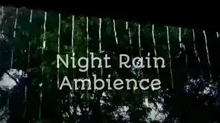Rain Drops on Leaves &mdash; Refreshing Nature Relaxation