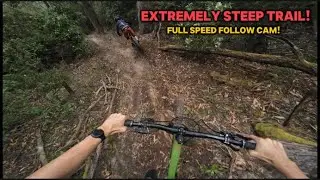 FULL RUN OF GINGER MEGGS | South Hobart