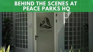Behind The Scenes At Peace Parks HQ