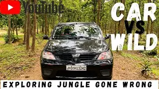 Car Vs Wild | Exploring jungle gone wrong | Bearded Launda | Horap Jungle
