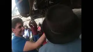 Huayllay Chico 2022 CAMPO