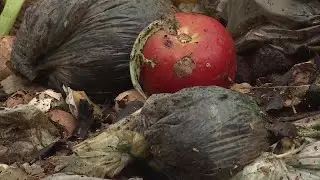 Dane Co. officials celebrate success of new food scrap collection
