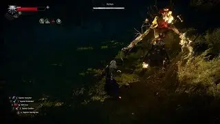 {Witcher 3: Ghost Mode} - Contract: Lord of the Wood - Kernun