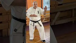 Кёкусинкай / Сихан Танюшкин / Сюто маваси-укэ-1 (ноябрь 2025)