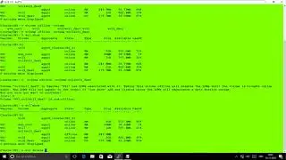 Delete Volume NetApp Cmode 9.4