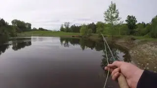 Nice pike and perch while fly fishing